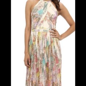 Ted Baker Pearpa Wispy Meadow Print Maxi Dress